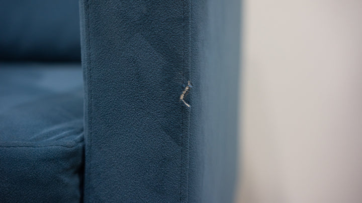 Model 01 Sofa, Teal, Loop 3